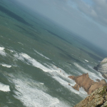 DSC00645-w740_h495